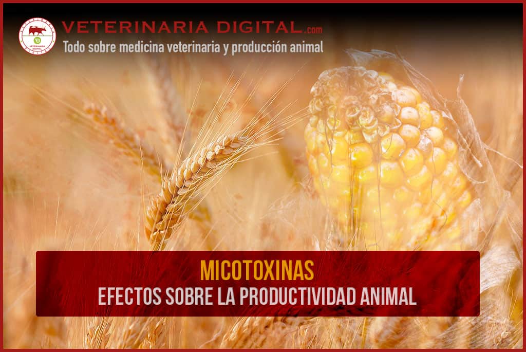 Micotoxinas: Efectos sobre la productividad animal