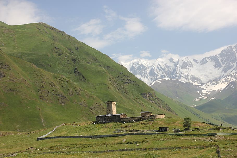 VETERINARY SCIENCE AND ANIMAL HUSBANDRY IN GEORGIA