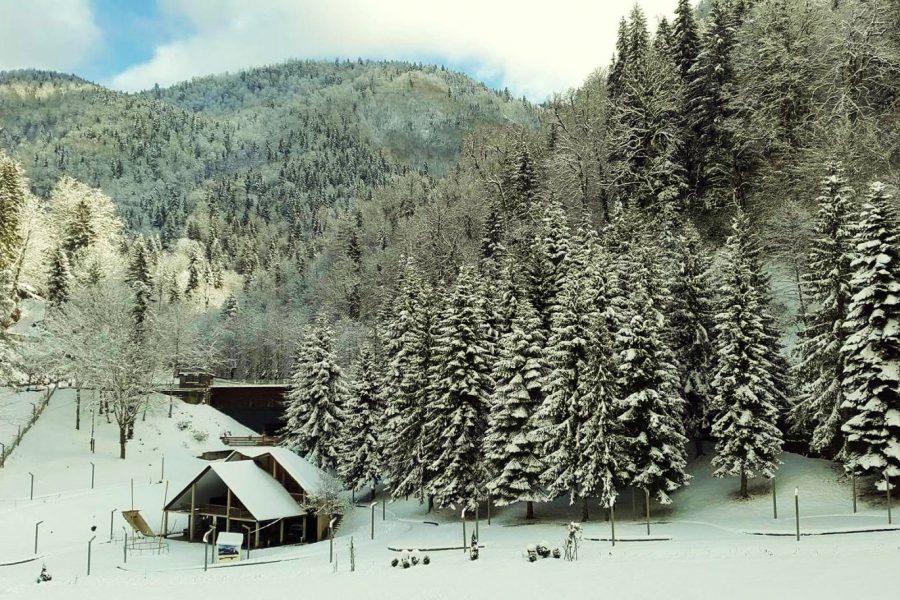 Siarme en Georgia