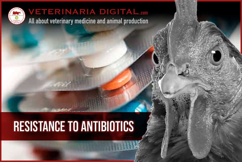 Resistance to antibiotics