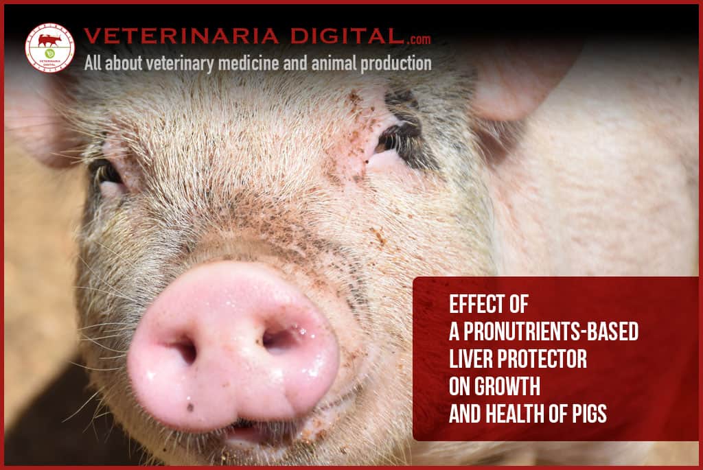 Effect of a pronutrients-based liver protector on growth and health of pigs