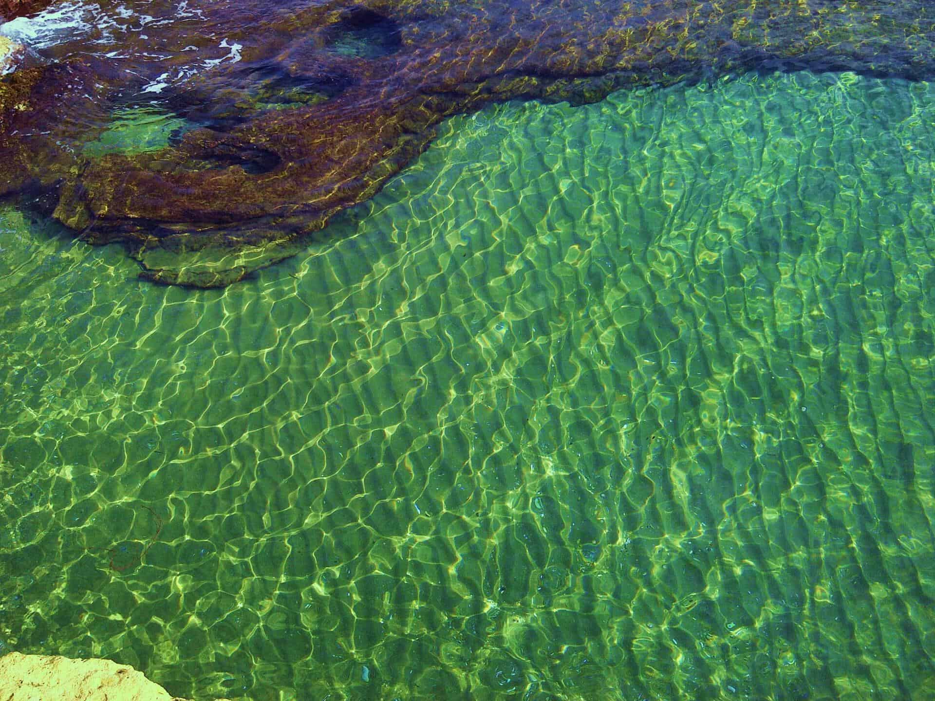 Mediterranean