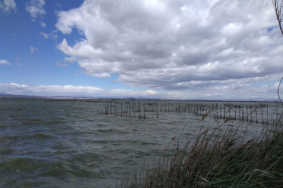 Albufera of Valencia (Spain)