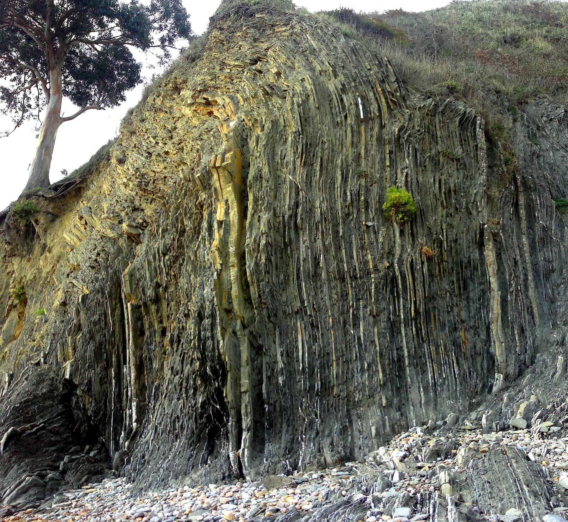 Antromero