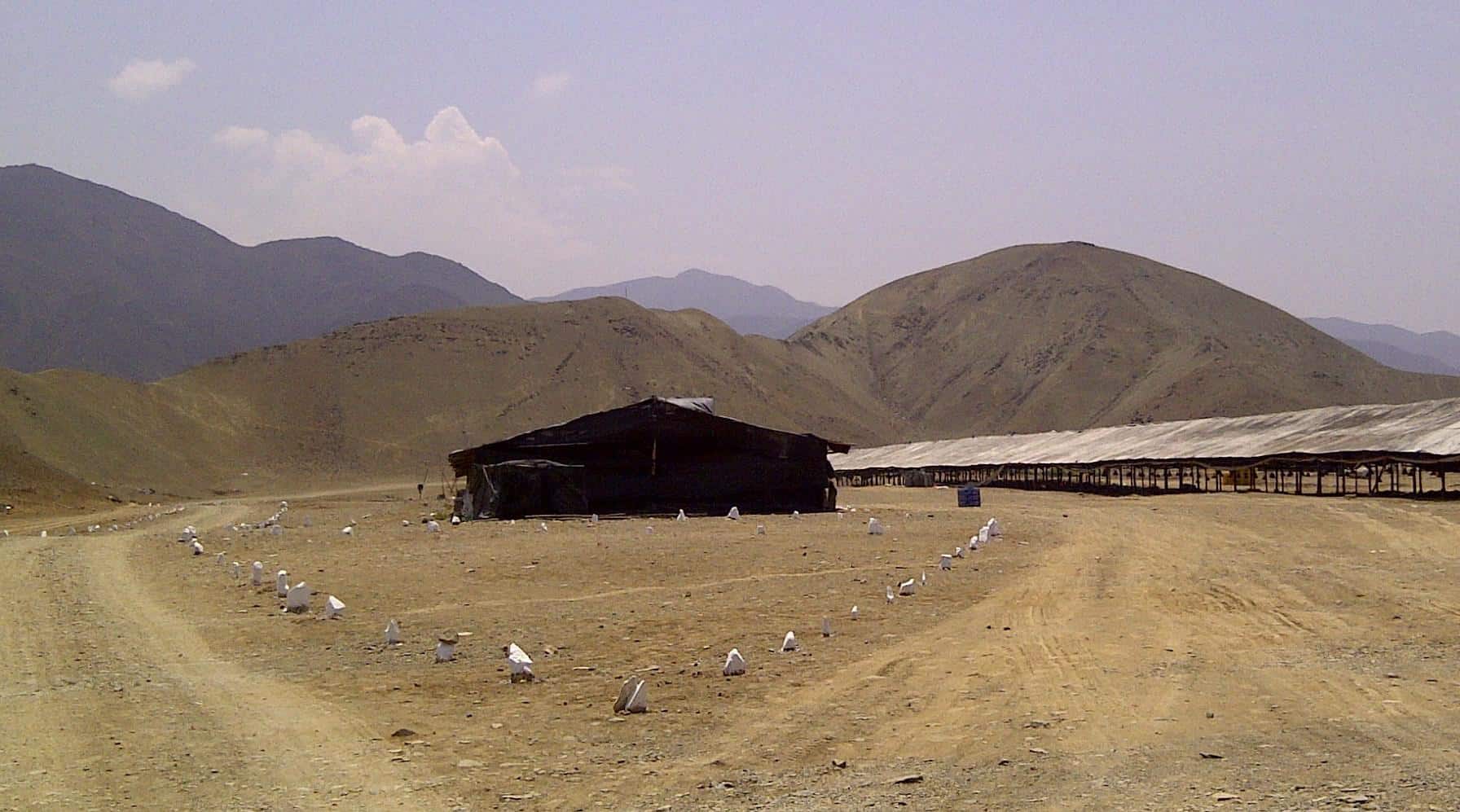 Granjas en el desierto peruano