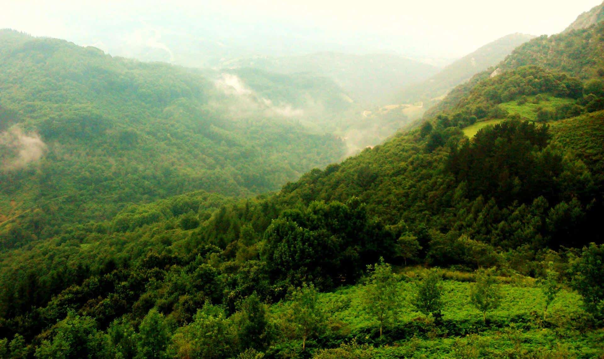 Mirador de Aspirotz (Berastegui – Guipuzcoa)