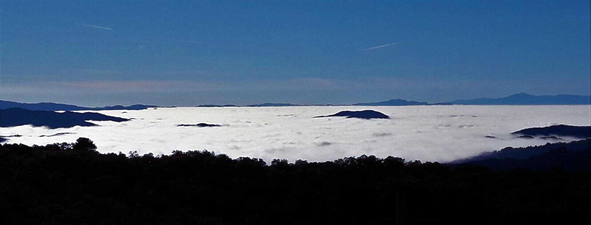 Boira gebradora, niebla de escarcha