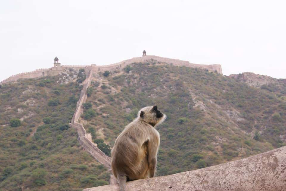 Paseando por la India