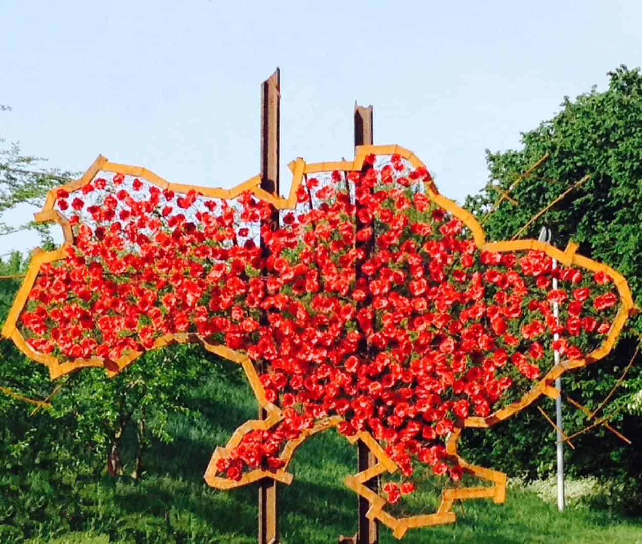 Mapa Ucrania con flores