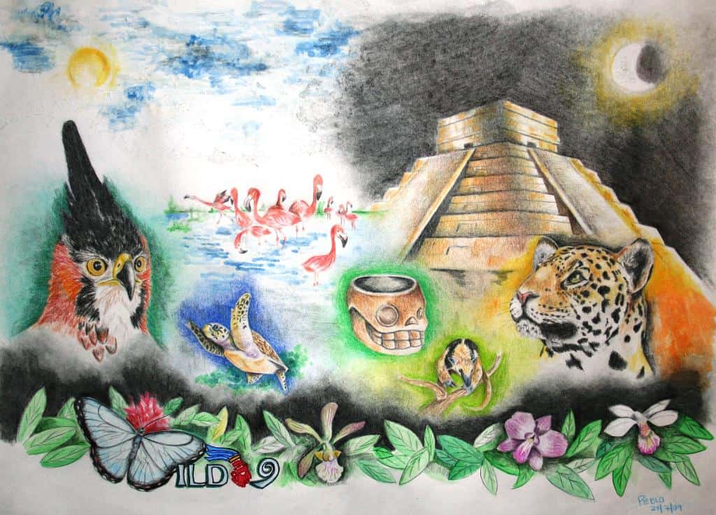 Ancient Conservation