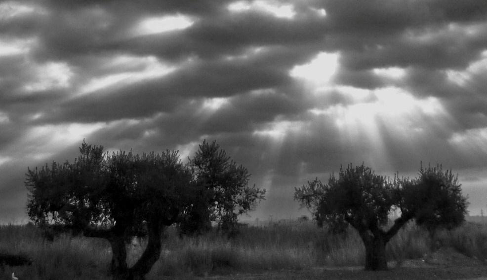 Rayos del Sol