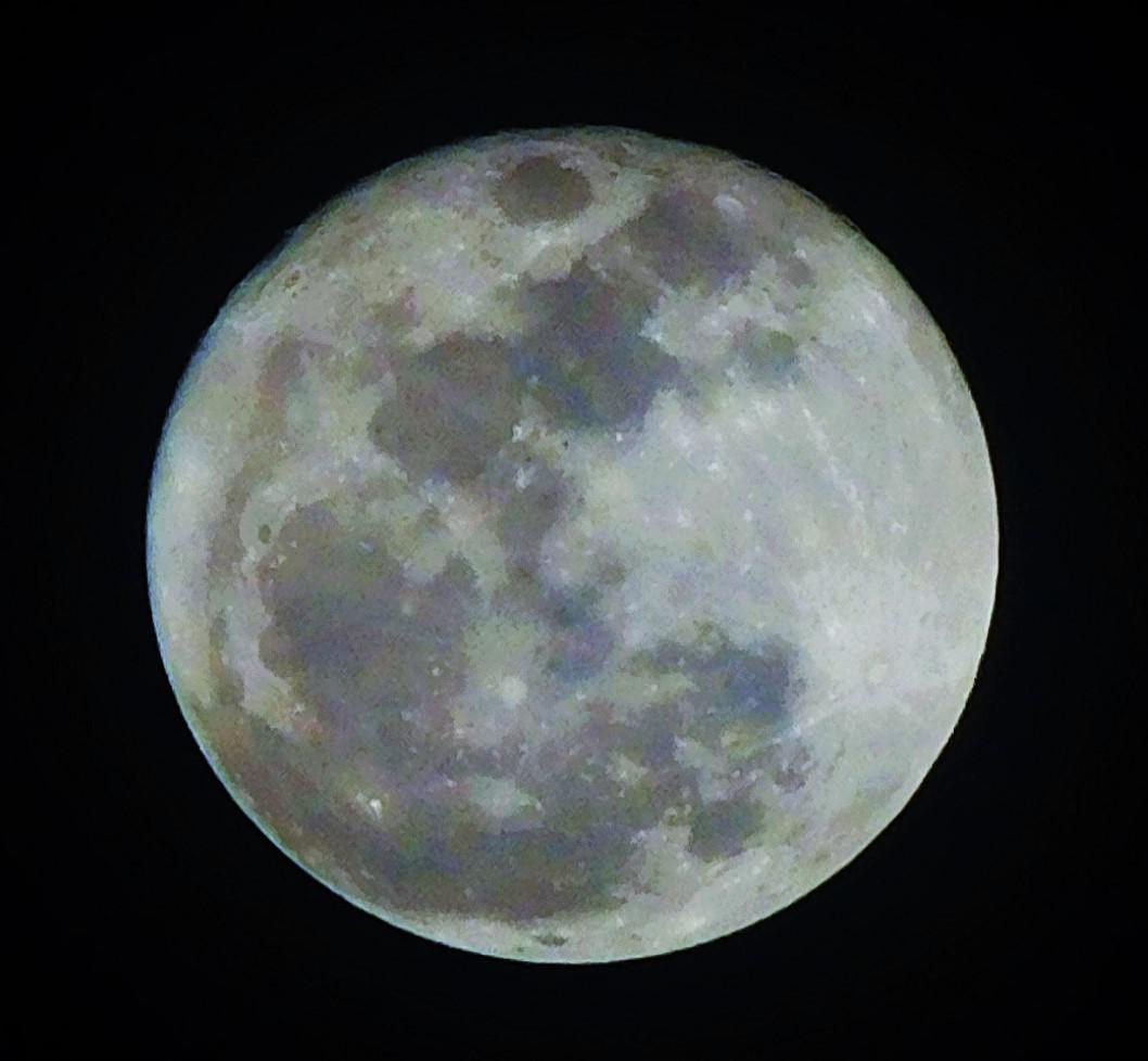 Luna de Noviembre 2016