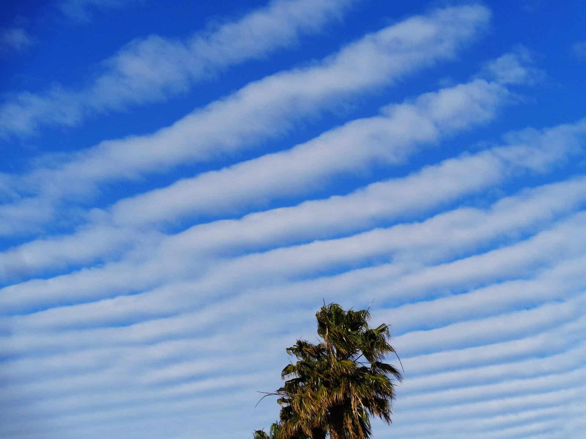 Cirrocumulus undulatus
