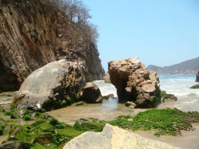 Majahua Manzanillo, Colima Mexico