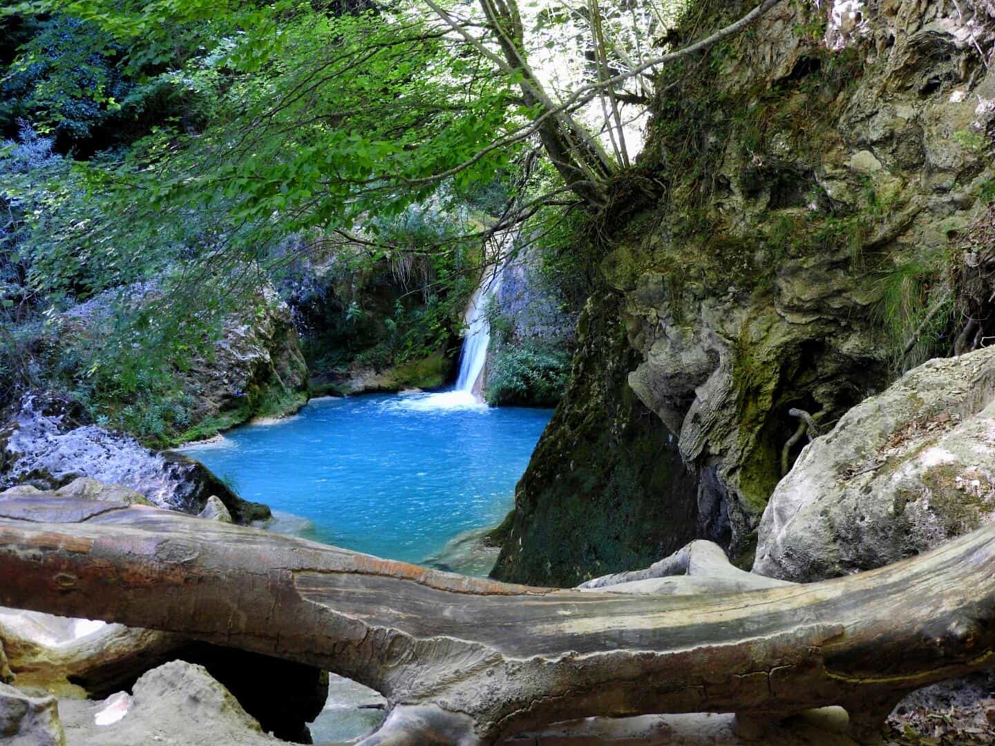 La Selva de Irati
