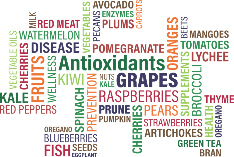 La nutrición animal y el uso de antioxidantes en el pienso