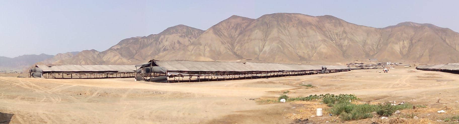 Farms in the desert