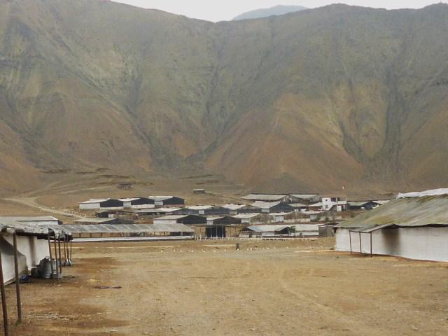 Granjas en el desierto del Perú