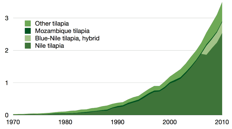 World production of different tilapia varieties 