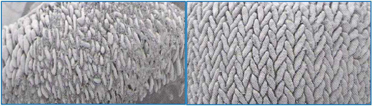 Bird intestinal epithelium made by electron microscopy.