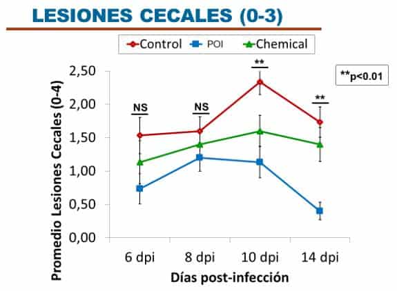 Cecum lesions of the three batches and their correlation during the evolution of the infection Cecal lesions