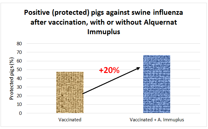 swine flu
