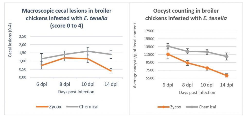 Alquernat-Zycox-trial