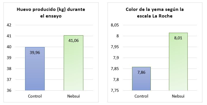 Nebsui-ensayo