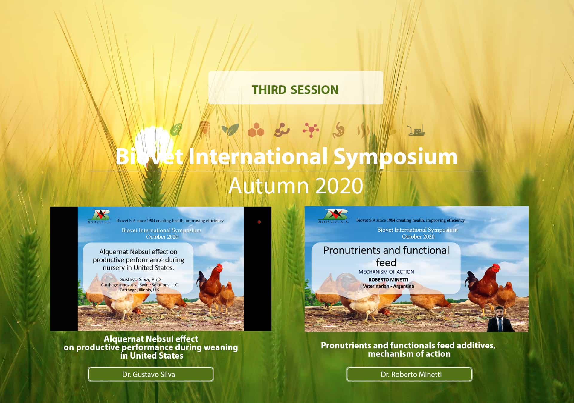 Effective natural alternative to improve productive parameters at weaning