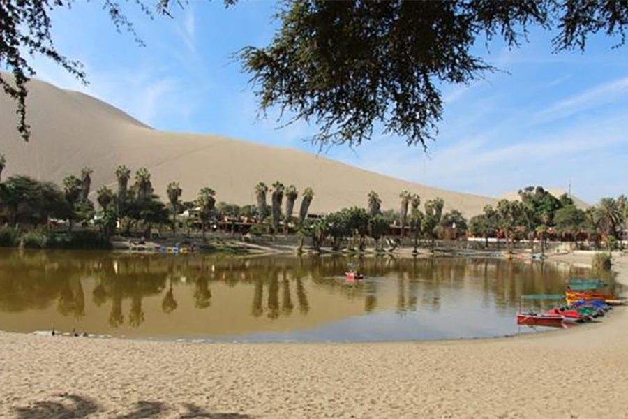 Oasis en el desierto de Paracas
