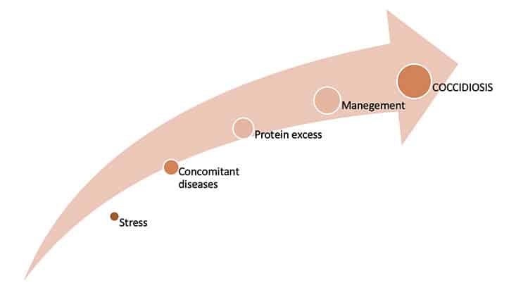 control of this disease