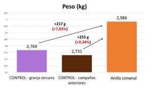 Comparación entre los pesos finales (kg) obtenidos en la granja control y en crianzas anteriores con el peso obtenido en el grupo suplementado con anillo cimenol.