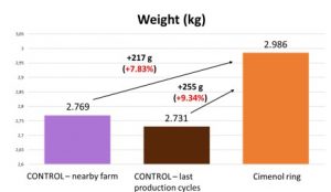 Comparison between the final weights (kg) obtained on the control farm and in previous cycles with the weight obtained in the group supplemented with cimenol ring.