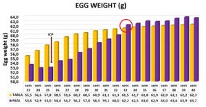 egg weight