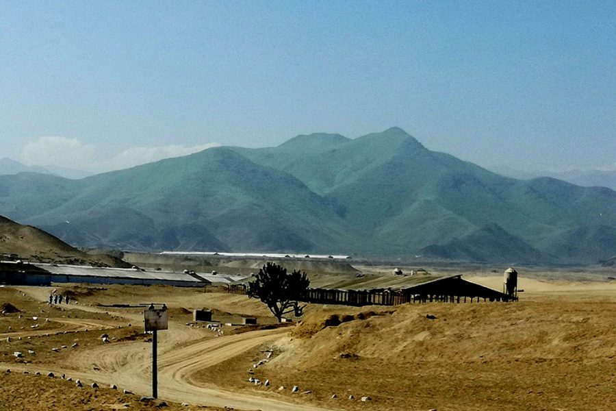 Granjas en el desierto y las Lomas verdes de Pachacamac