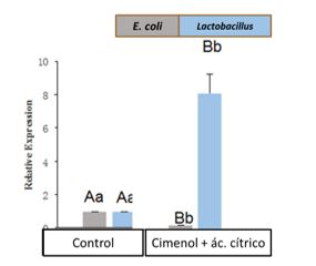 cimenol ring reduced E. coli counts markedly at an intestinal level, as it obtained the lowest counts.