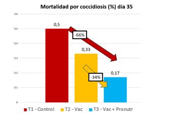 Mortalidad por coccidiosis, comparada entre lotes de estudio a día 35 del ciclo.