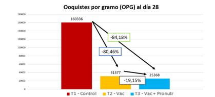 Ooquistes por gramo, comparativa entre los lotes de estudio a día 28 del ciclo