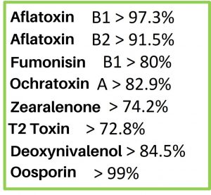 Mycotoxin binder