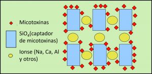 estructura optimizada