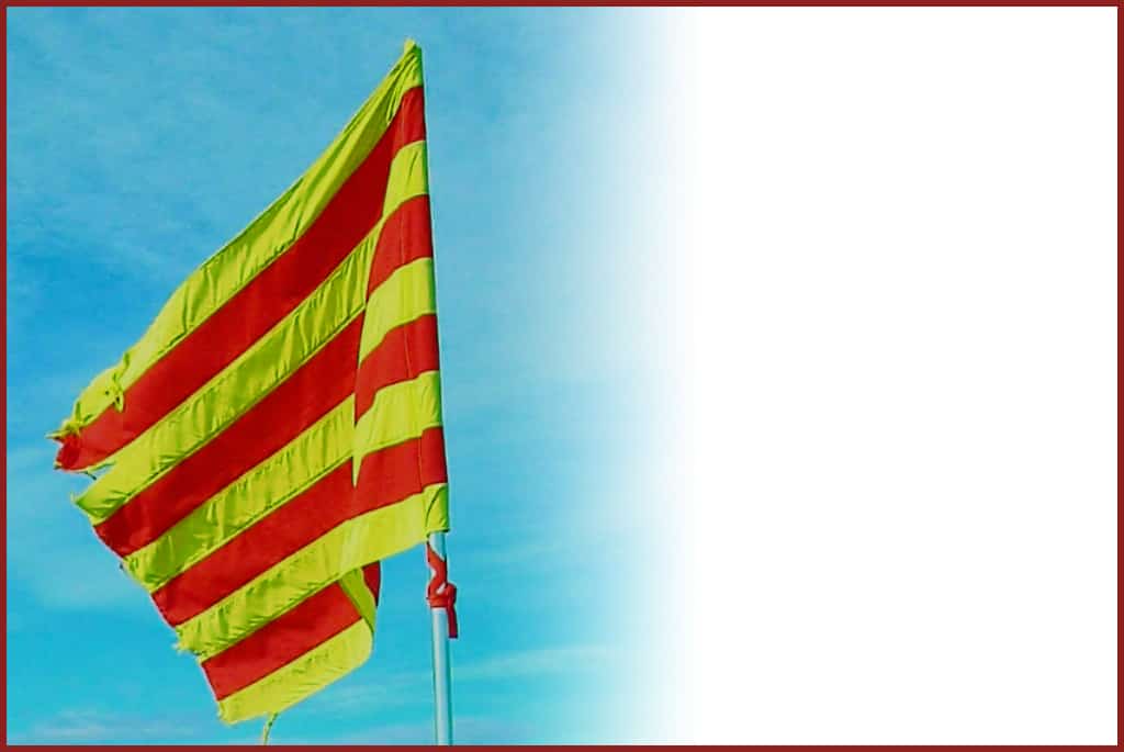 FELICITATS ALS VETERINARIS DE CATALUNYA