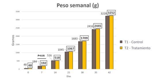 Peso semanal