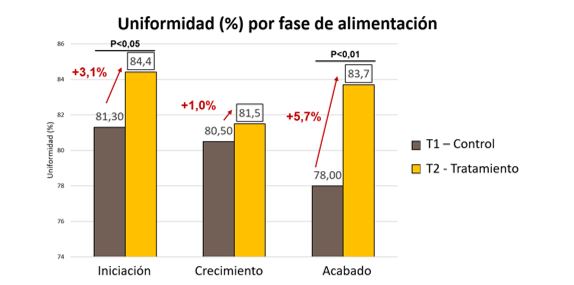 Uniformidad por fase de alimentación