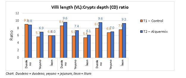 Vl CD ratio