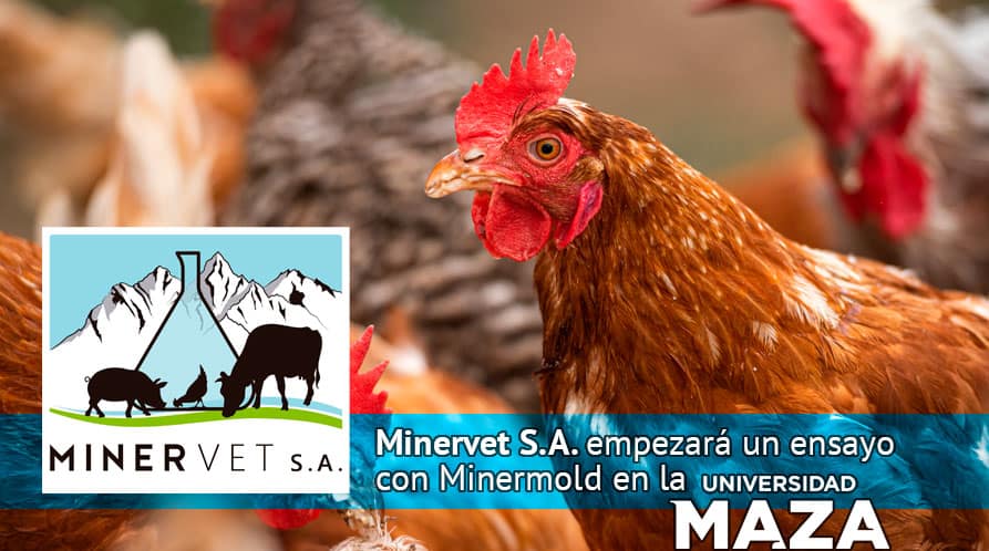 Minervet S.A. empezará un ensayo con Minermold en la Universidad Maza