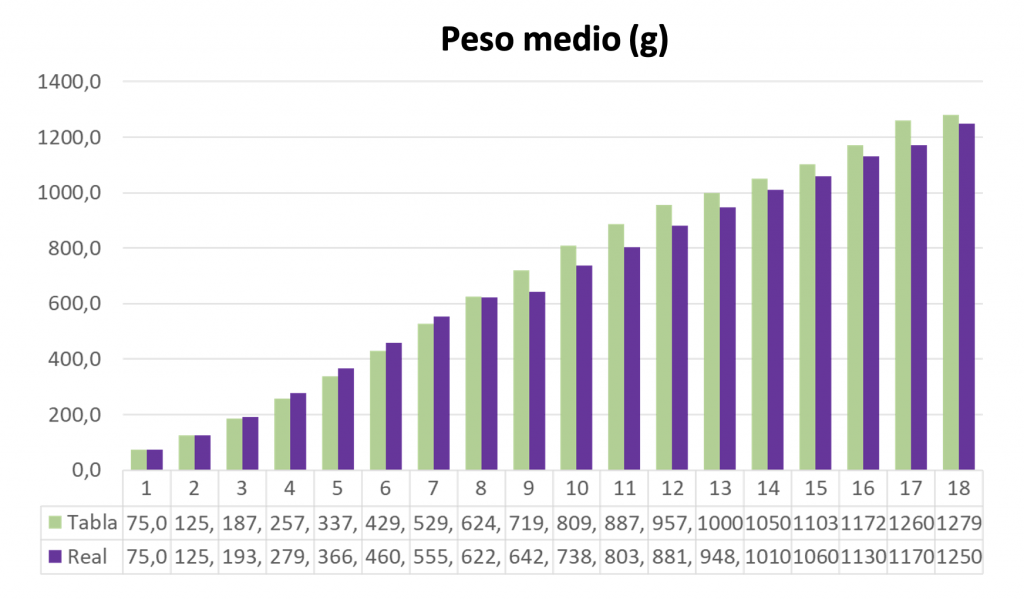 Gráfico 1. Peso medio (g) del lote tratada (“REAL”, en lila) y estándar de la raza (“TABLA”, en verde) durante el período de crecimiento y levante.