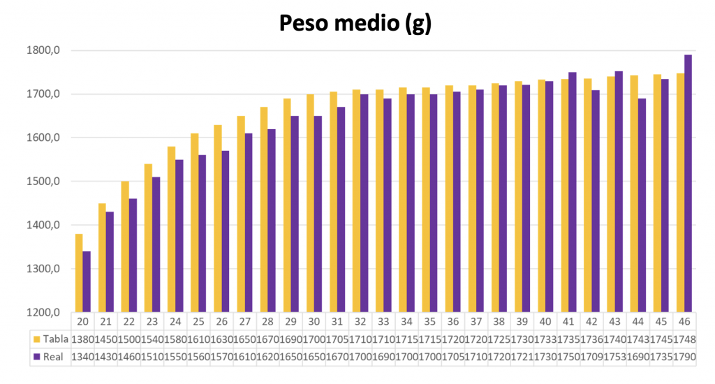 Gráfico 3. Peso medio (g) del lote tratada (“REAL”, en lila) y estándar de la raza (“TABLA”, en verde) durante el período de puesta.
