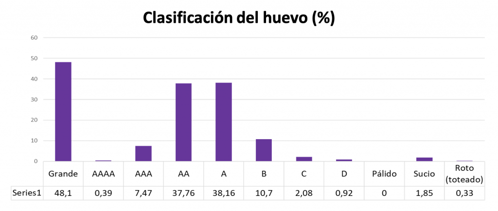 Gráfico 5. Clasificación del huevo (%) en el lote tratado.