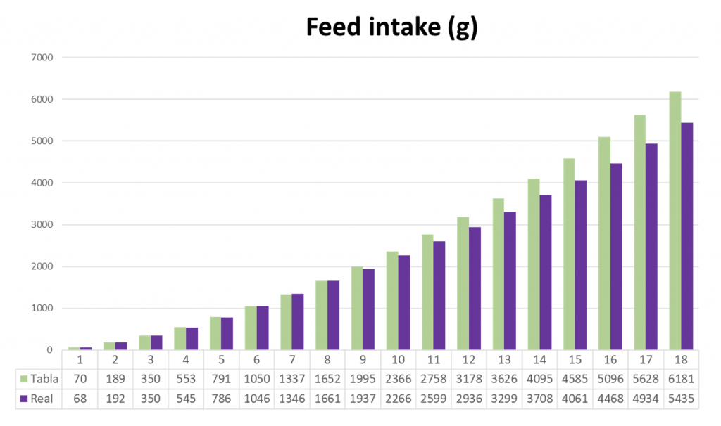 Chart 2. Average feed intake (g) of the treated flock (“REAL” in purple) and breed standard (“TABLA” in green) during the growing and rearing period.