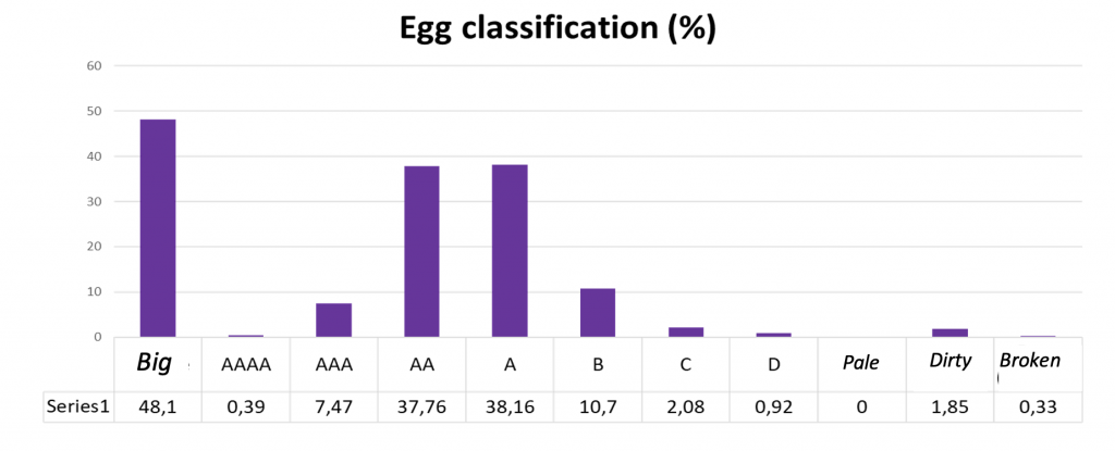 Chart 5. Egg grading (%) of the treated flock.